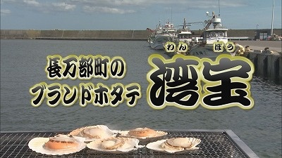 20230208101125-123bc646b788dee0b4c566922718d4d750e60b62.jpg