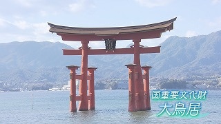 Still0216_00009.jpg