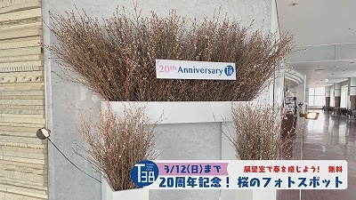 20230306091142-d8e8edf1ad23e30c9fbc12c2d7cb4aef355f79b0.jpg