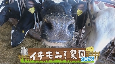 イチモニ！農園 今年も始動！] 2023年3月23日（木）放送 - イチモニ！
