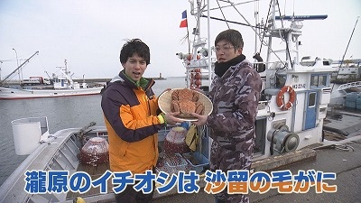 食のチカラ　興部町沙留の毛がに