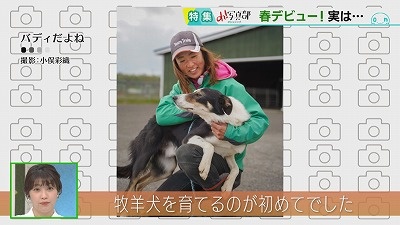 20230515093303-315fabe89a87ba0fc1e2628e9cdc277d79991d91.jpg