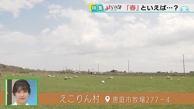 20230515093306-b7ab1b39b5b19c49eafa30d2c1ce51dd3d665290.jpg