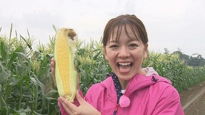 食のチカラ　北海道産とうもろこし