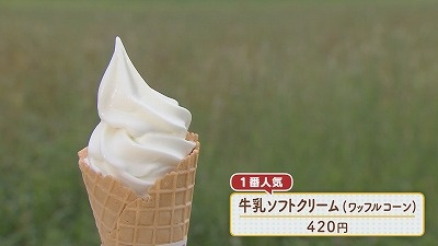 20230824085355-cf391b6a183805e339595c1c54e911a255b87be8.jpg