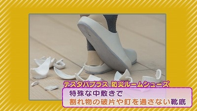 20230901090137-806cf84cb01dbffa0716d6804a34d96e80c9a56c.jpg