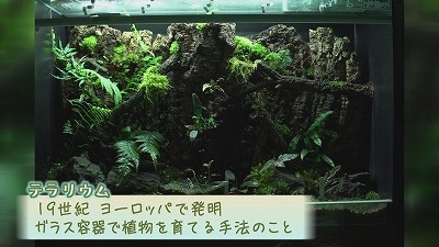 011.jpg