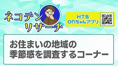 ネコテンリサーチ 暖房をつける時間は？] 2023年11月11日（土）放送