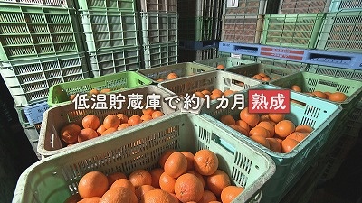 20240306085322-3a544c66cb540bc79f8a578d279c5a2124a47f0e.jpg