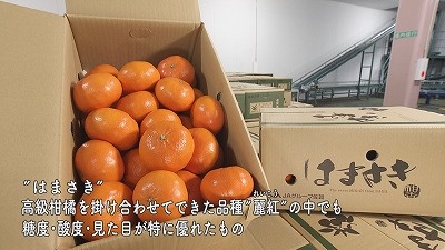 20240306085322-b04ba028da2673811038700db7e48ffcc6476fae.jpg
