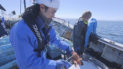 食のチカラ　興部町沙留の毛がに