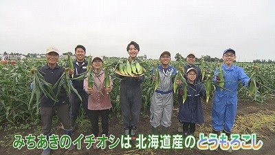 食のチカラ　北海道産とうもろこし