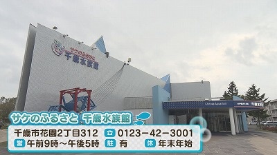 Still1024_00002.jpg