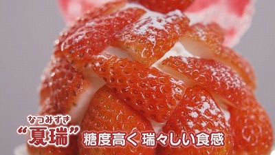 Still1119_00011.jpg