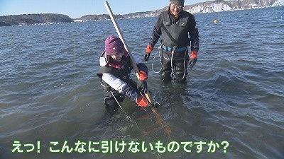 食のチカラ　厚岸町のあさり