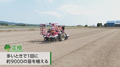 20250701090736-5a6be505626a10f041931045613f74d3e00d7315.jpg