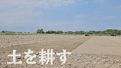 20250701090740-ceb1987279d23aa91616ccfff3e5e045a92350ba.jpg