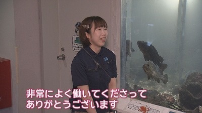 新コーナー「マッスーの何でもやりまっすー！」