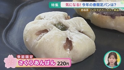 シロクマベーカリー 春のオススメTOP３! 限定パンも！