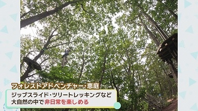 04.jpg