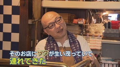 Still0813_00003.jpg