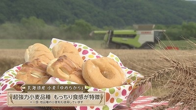 今年もやります！「みんなで育てるパンプロジェクト」