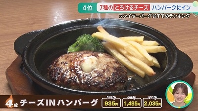 ファイヤーバーグおすすめ鉄板ハンバーグランキング