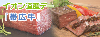 イオン道産デー