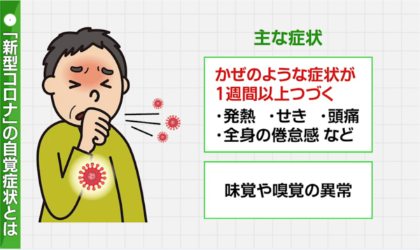 コロナ 扁桃 腺 扁桃腺なのか新型コロナの感染なのか気になります