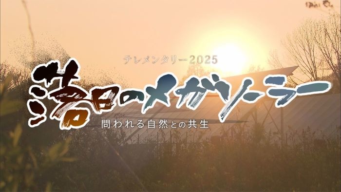 テレメンタリー2025「落日のメガソーラー 問われる自然との共生」