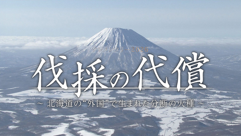 テレメンタリー「伐採の代償 ～北海道の"外国"で生まれた分断の火種〜」