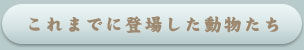 これまでに登場した動物たち