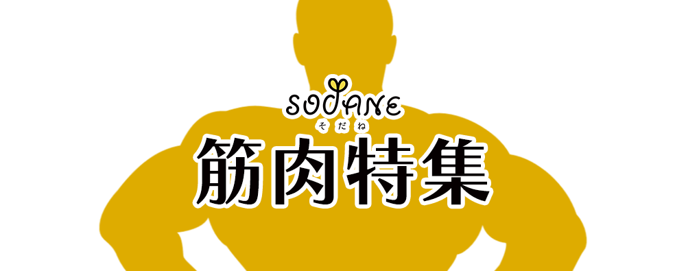 sodane筋肉特集