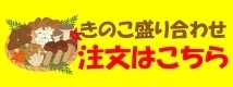 kinoko.jpg