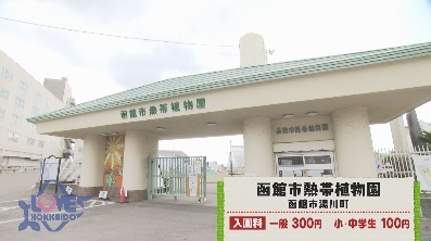 Lovehokkaido Lovehokkaido