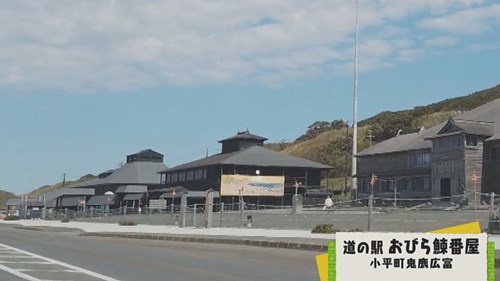 003.jpg