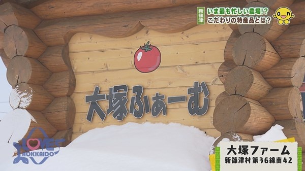 04.jpg