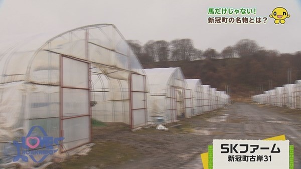 03.jpg