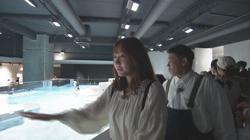 d02.jpg