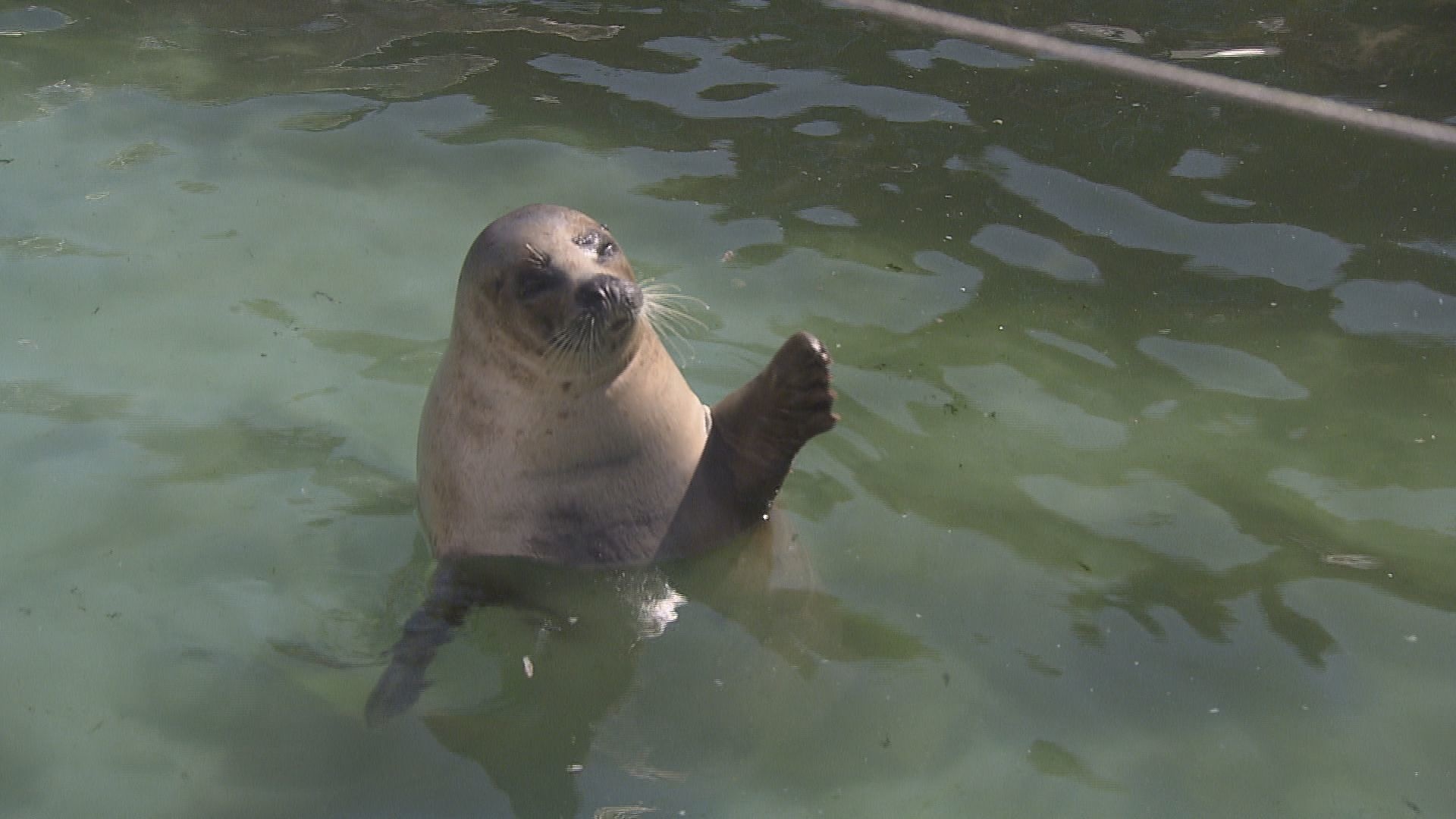 おたる水族館.jpg