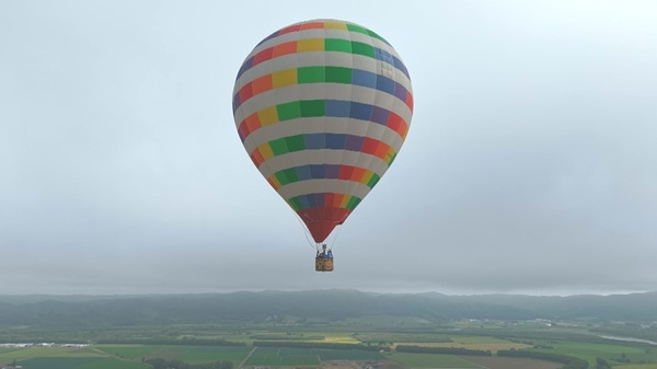 d04_01.jpg