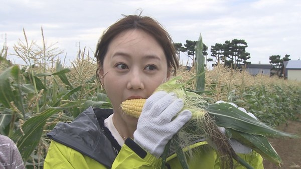 とれた小屋ふじい農場.jpg