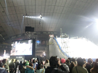 01.jpg