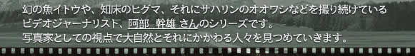 幻の魚イトウや、知床のヒグマ、それにサハリンのオオワシなどを撮り続けているビデオジャーナリスト、阿部幹雄さんのシリーズです。写真家としての視点で大自然とそれにかかわる人々を見つめていきます。