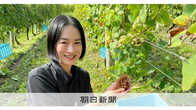 ウェブ業界から余市のワイナリー後継者へ　30代女性を導いた出会い サムネイル