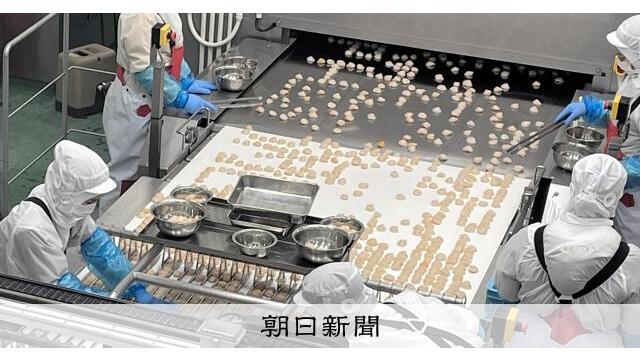 北海道産ホタテの輸出好調 中国禁輸から回復も影落とすトランプ関税 サムネイル