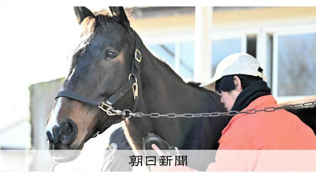 日本で唯一サラブレッド育てる高校　「馬漬け」生活　それぞれの理由 サムネイル