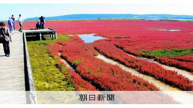 真っ赤に萌える秋 北海道・能取湖畔 サムネイル