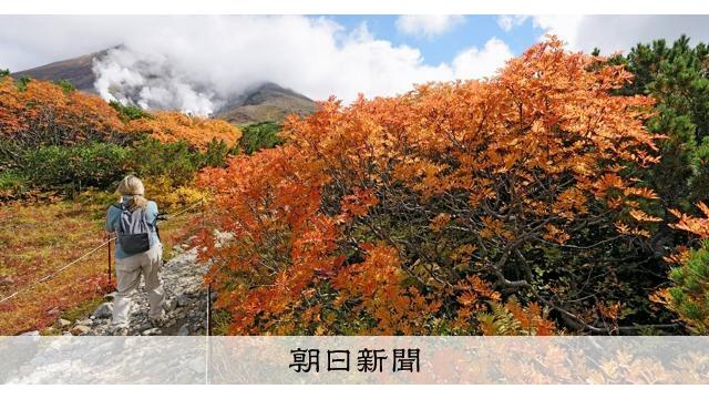 北海道の大雪山、早くも紅葉真っ盛り 5年ぶりに色づき良好 サムネイル
