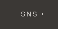 sns